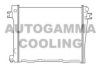 AUTOGAMMA 100098 Radiator, engine cooling